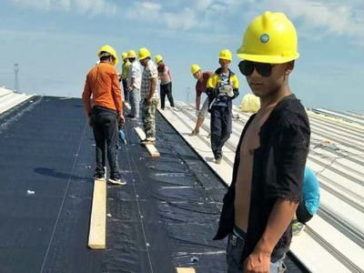 山东环山集团滨州托佩克2500头原种猪场