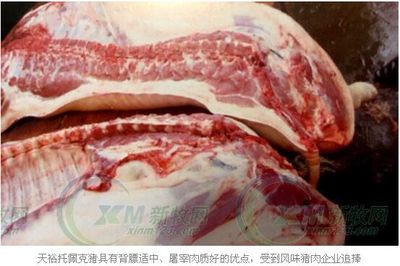 天裕托佩克:做风味猪肉企业的种猪供应链-畜牧人才网