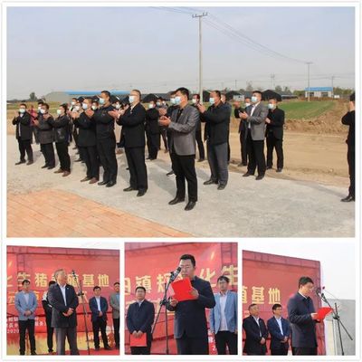 信阳镇集体增收项目--规模化生猪养殖基地交付使用