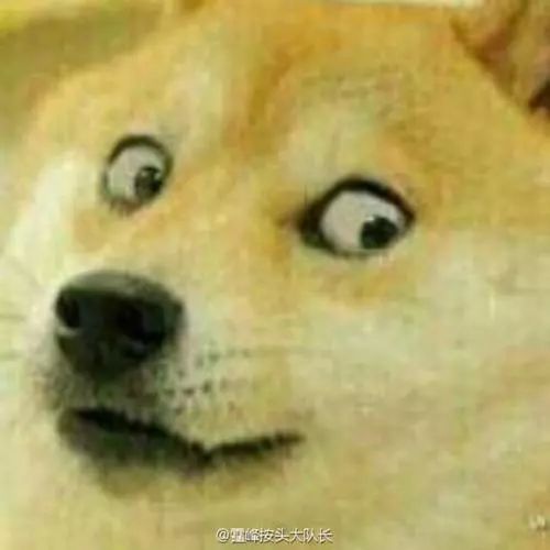 震惊,在龙游竟然猪也能