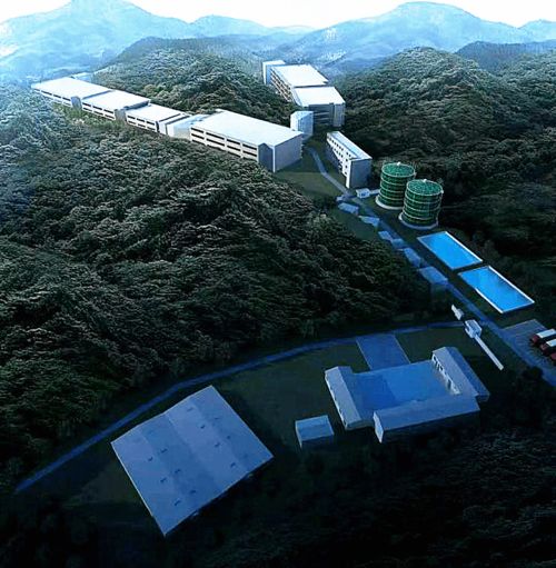 种猪 芯 动力 2020河南丰源和普引进3300头曾祖代原种猪 助力行业高质量复产