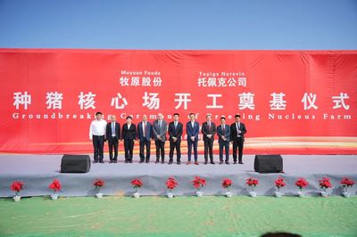 强强联合|甘肃牧原托佩克种猪育种的奠基仪式在甘肃省武威市隆重举行!