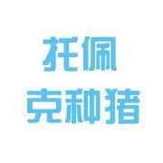 滨州托佩克种猪