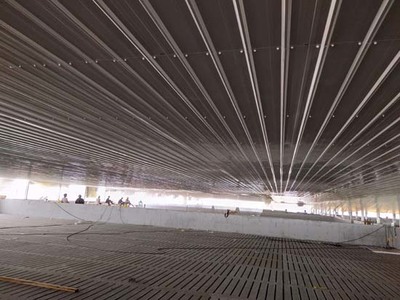 山东环山集团滨州托佩克2500头原种猪场