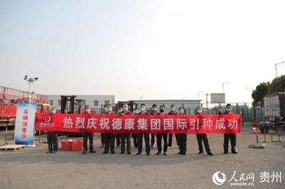 法国“种猪”入黔助力生猪产能提升
