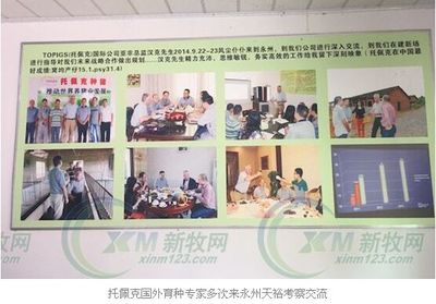 天裕托佩克:做风味猪肉企业的种猪供应链