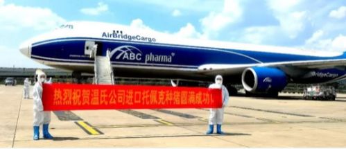 温氏集团再次引进托佩克核心群种猪