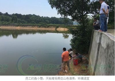 天裕托佩克:做风味猪肉企业的种猪供应链