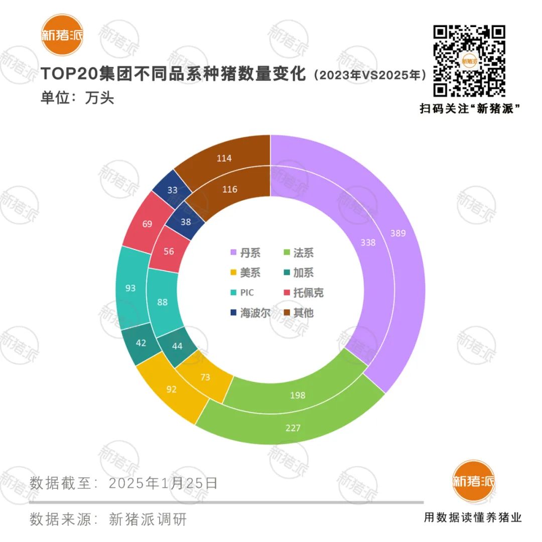 2025年TOP20猪企种猪品系结构分析:丹系37%法系21%,PIC与托佩克正逐步崛起「福建新桂龙特约·种猪视野」