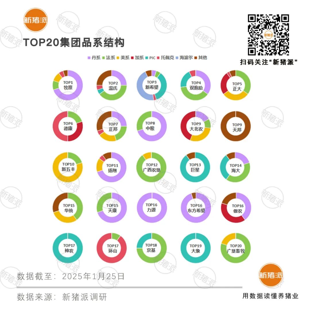 2025年TOP20猪企种猪品系结构分析:丹系37%法系21%,PIC与托佩克正逐步崛起「福建新桂龙特约·种猪视野」