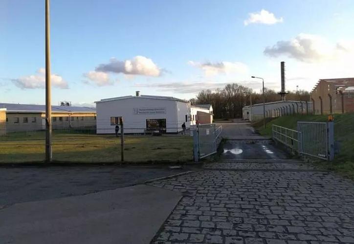 德国猪场PSY超28的管理流程与关键技术措施——基于托佩克种猪的实践