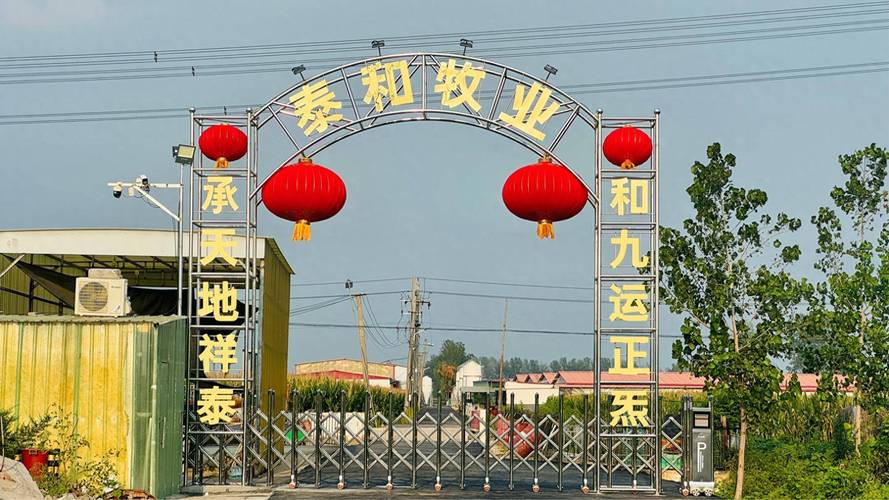 668头托佩克多阴祖代种猪落地泰和牧业，引领畜牧行业高质量发展